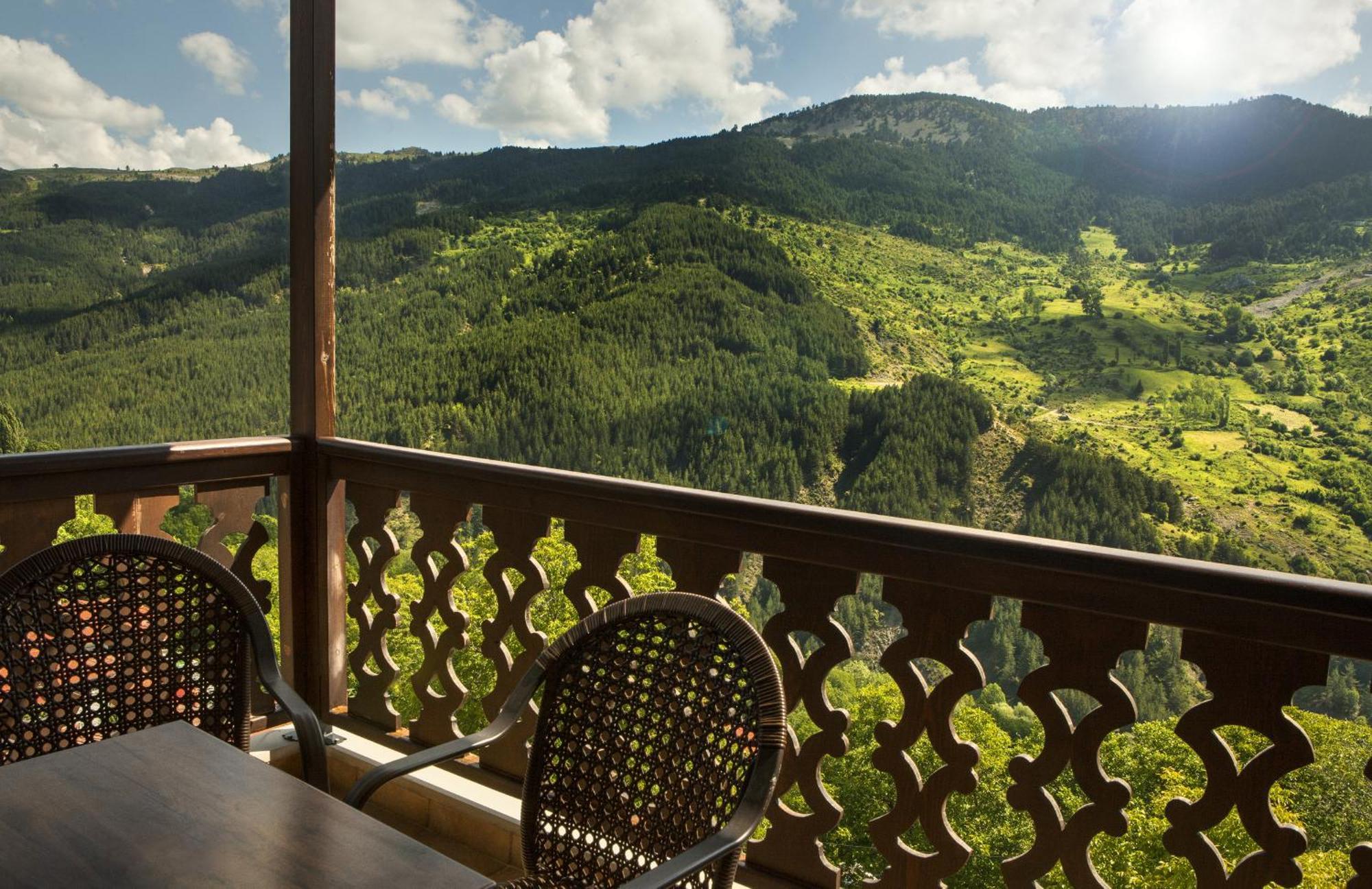 Aroma Dryos Spa & Eco Hotel Мецово Екстер'єр фото